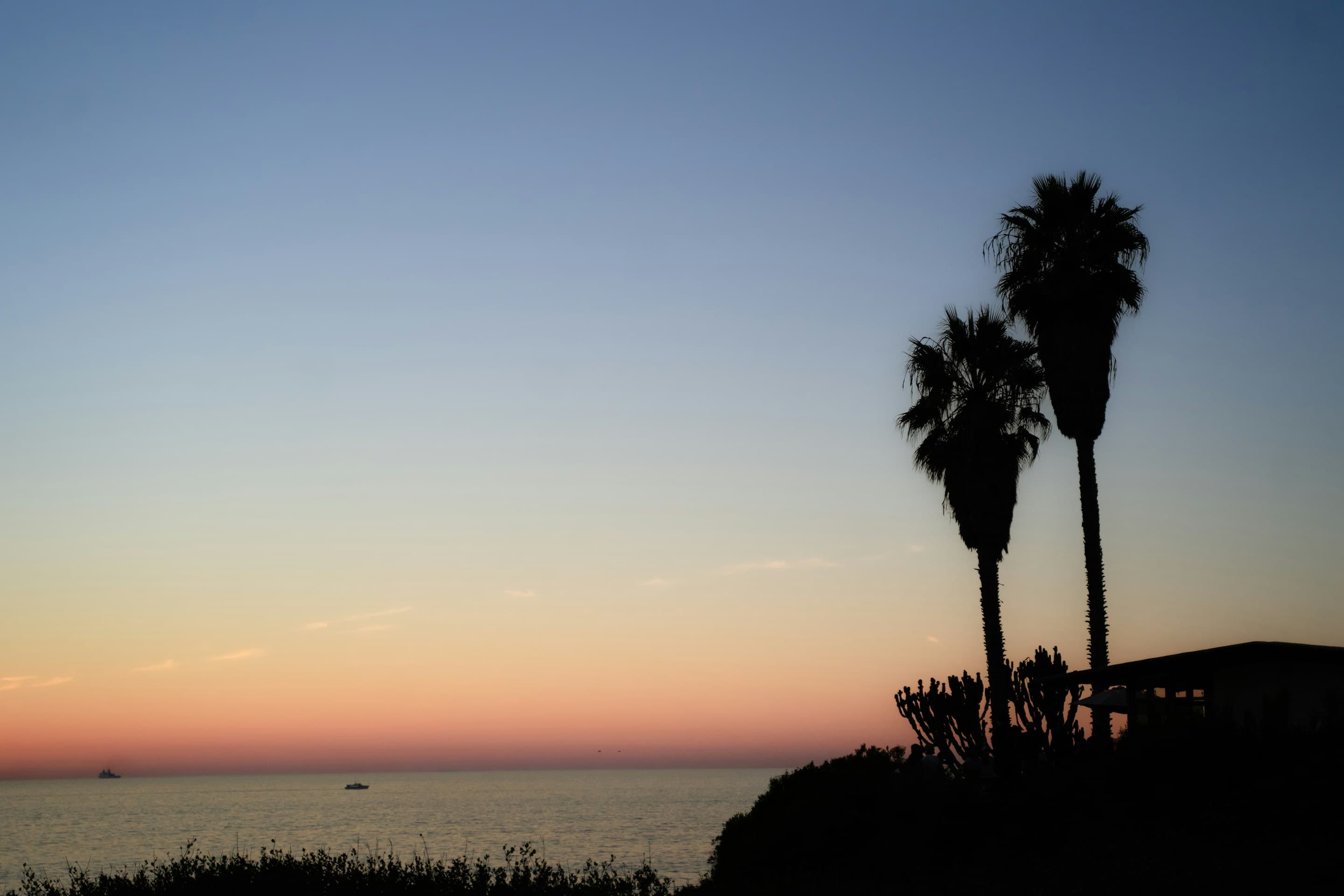 Two palm trees silhouetted against a coastal sunset